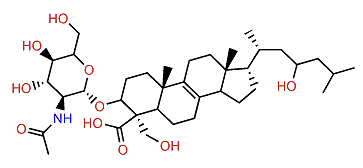 Ulososide B